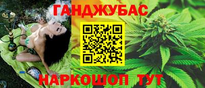 гидра Заволжье