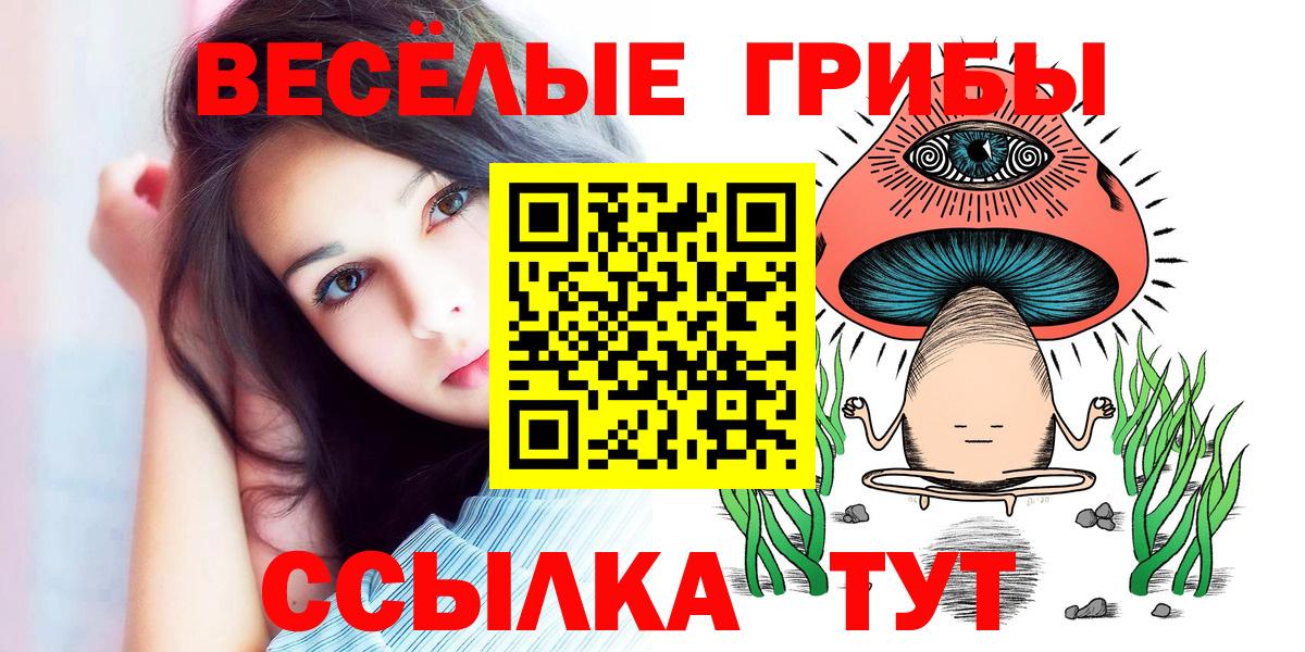 Псилоцибиновые грибы прущие грибы Большой Камень