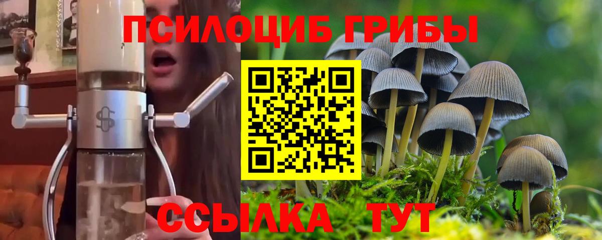 закладка  Вход с VPN  Большой Камень  Галлюциногенные грибы GOLDEN TEACHER 